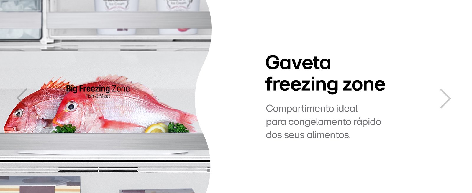 Gaveta com a imagem de 2 peixes congelados