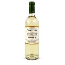 Vinho Chileno Tarapacá Cosecha Sauvignon Blanc