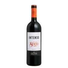 Vinho Brasileiro SALTON Intenso Corte Tinto Seco 750ml