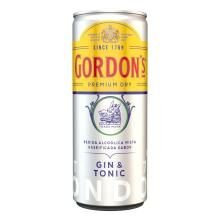 Bebida Mista Gordon's Premium Gin E Tonic 269ml